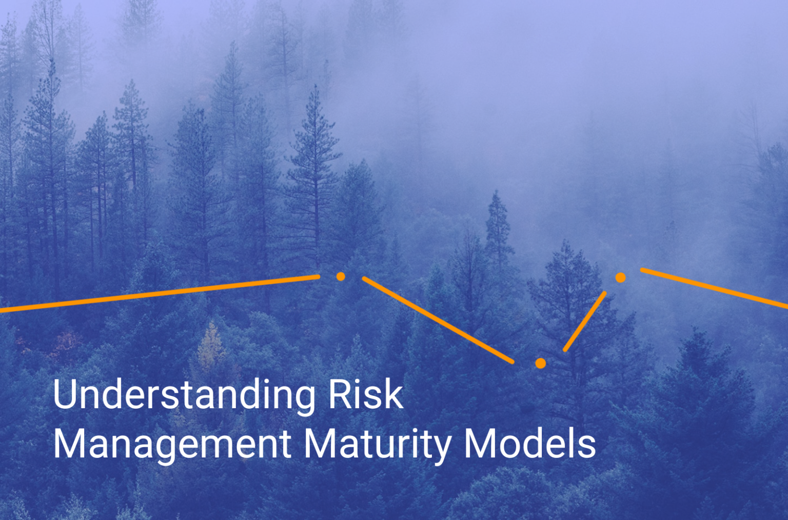 Understanding Risk Management Maturity Models